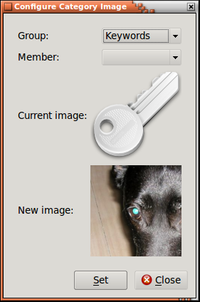 Editor de Categorias