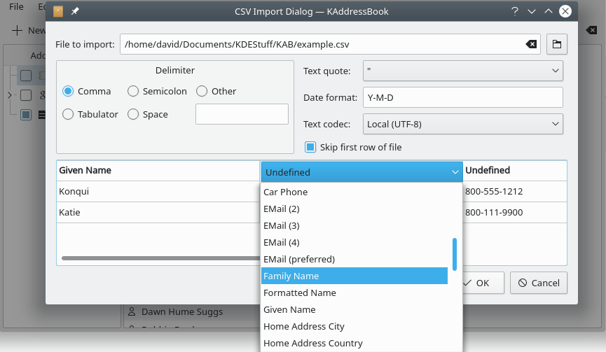 Uma segunda captura de tela da caixa de diálogo “Importar arquivo CSV” do KAddressBook.