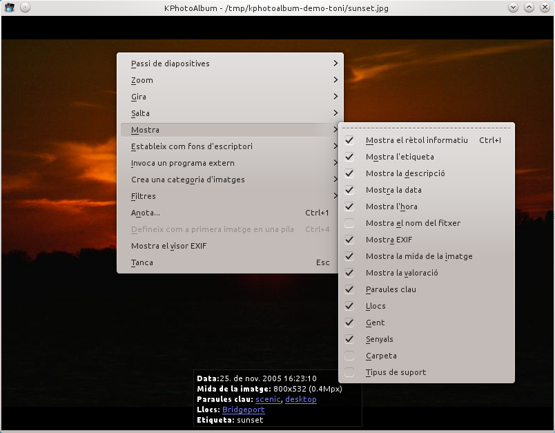 El menú contextual del visualitzador